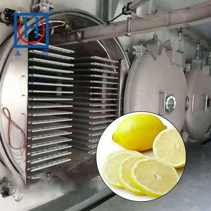 Freeze Dryer Machine